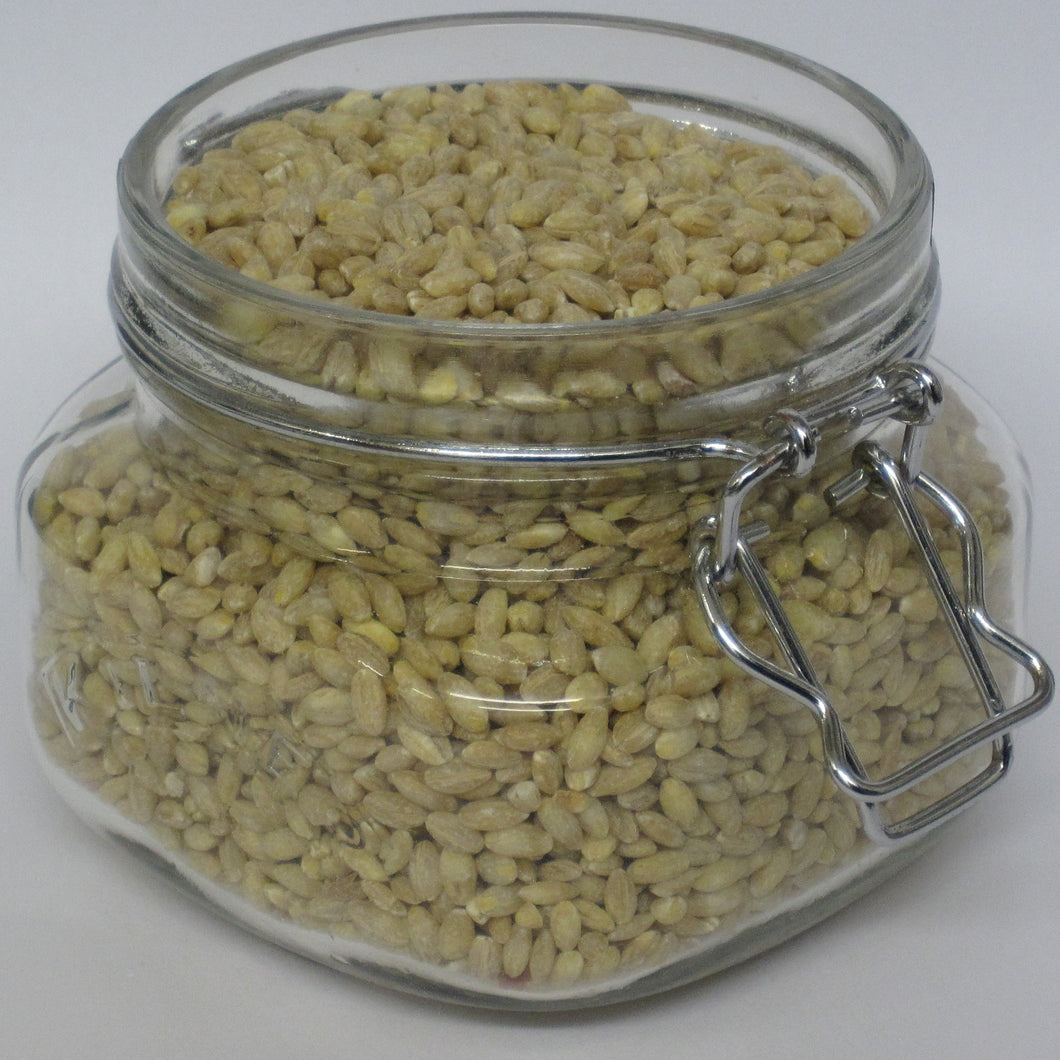 Pearl barley grain