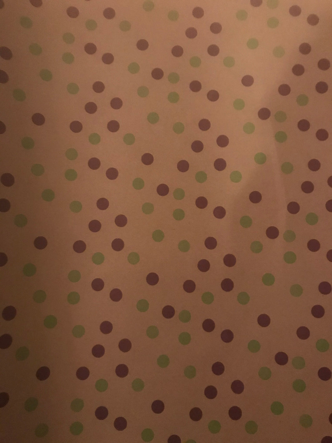 Dotty wrapping paper - kraft 5m